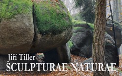 Sculpturae Naturae